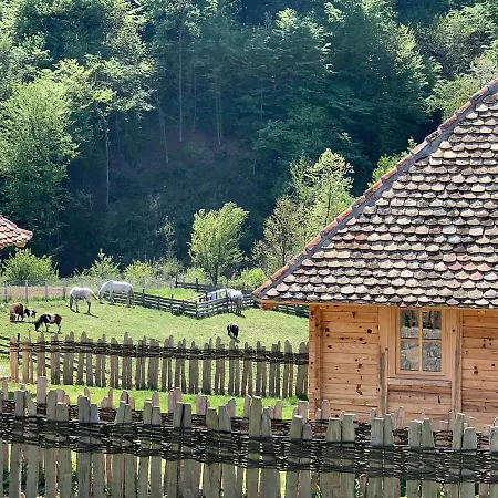 Etno Selo Azbuka Lodge Trsic